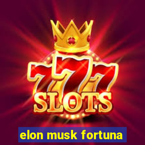 elon musk fortuna