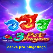 canva pro bingotingo