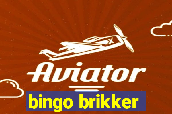 bingo brikker