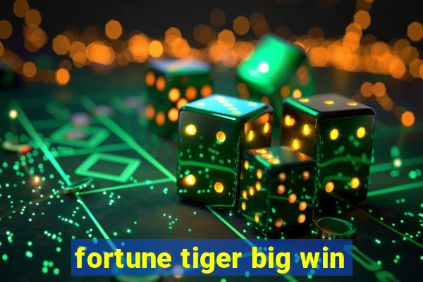 fortune tiger big win