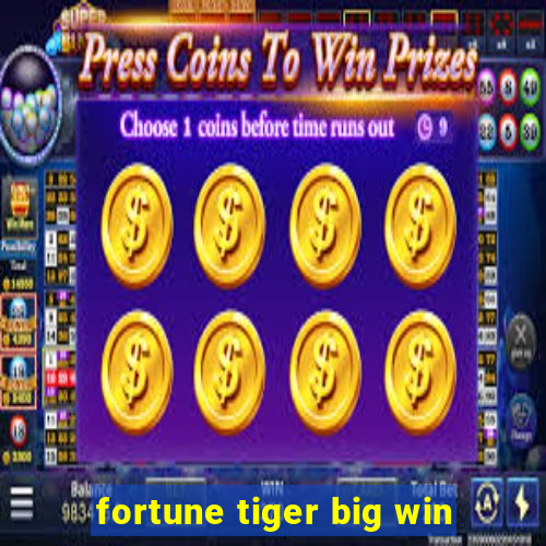 fortune tiger big win