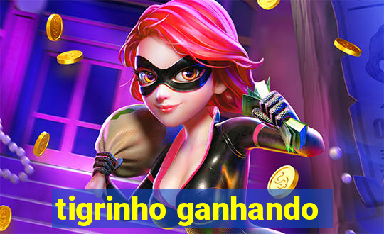 tigrinho ganhando