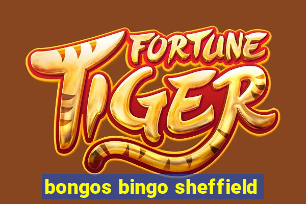 bongos bingo sheffield