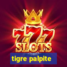 tigre palpite