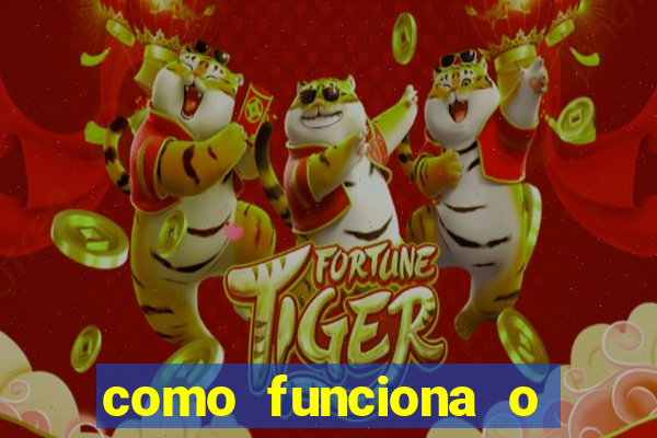 como funciona o jogo fortune