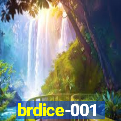 brdice-001