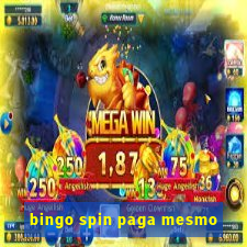 bingo spin paga mesmo