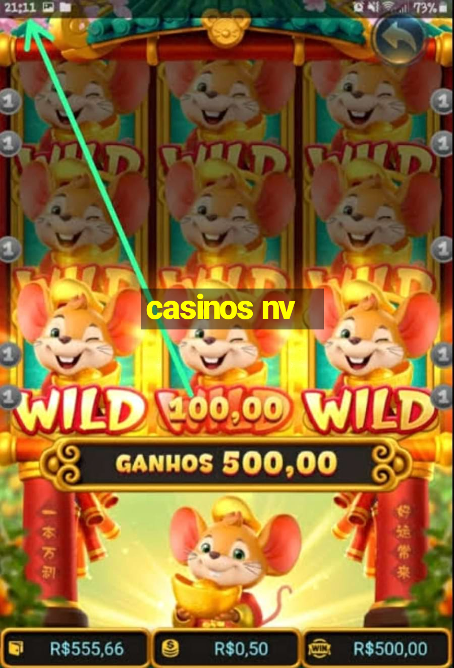 casinos nv