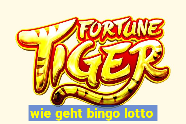 wie geht bingo lotto