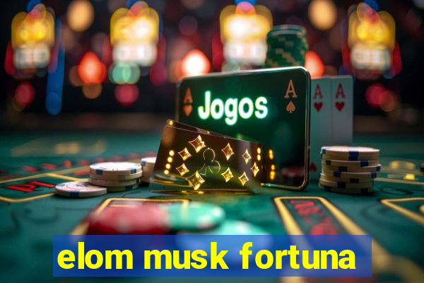 elom musk fortuna