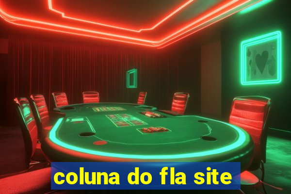 coluna do fla site