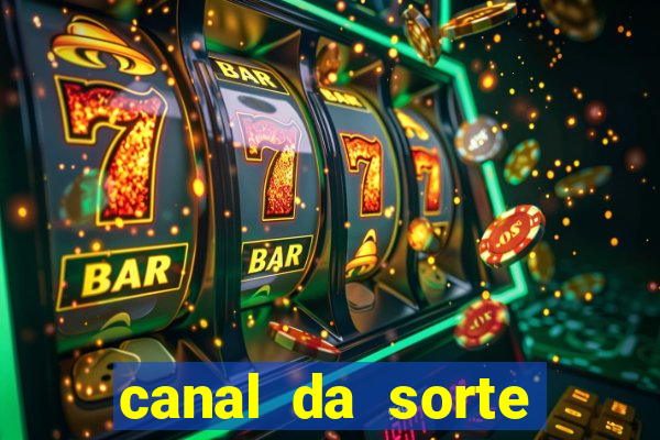 canal da sorte bingo de hoje