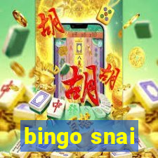 bingo snai