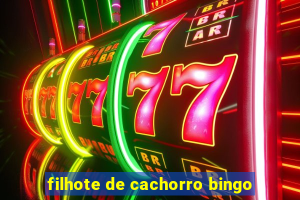 filhote de cachorro bingo