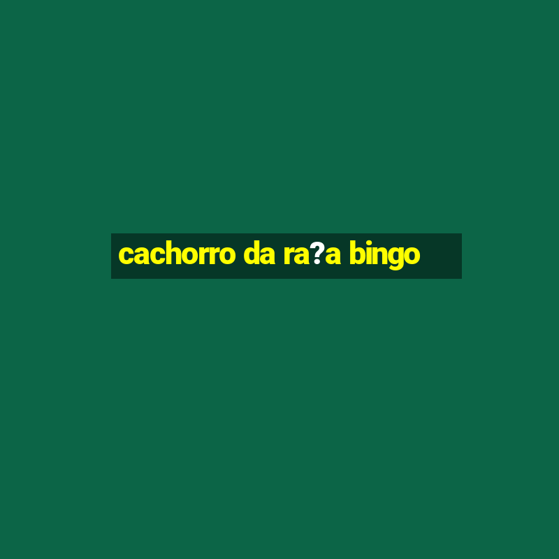 cachorro da ra?a bingo