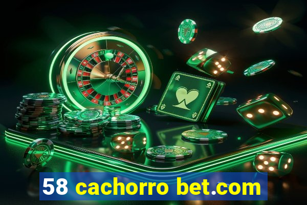 58 cachorro bet.com