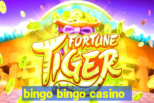 bingo bingo casino