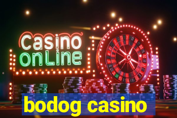 bodog casino