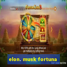 elon. musk fortuna