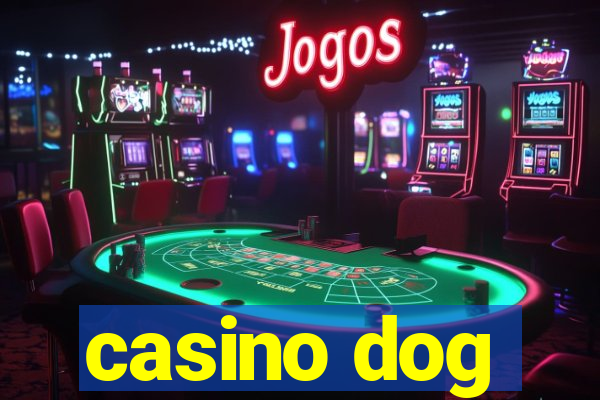 casino dog