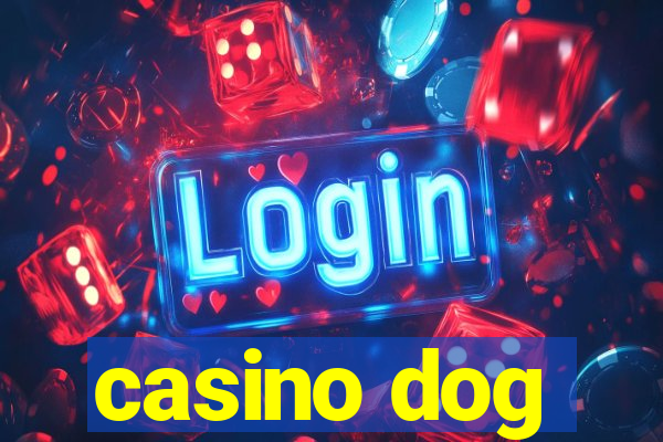 casino dog