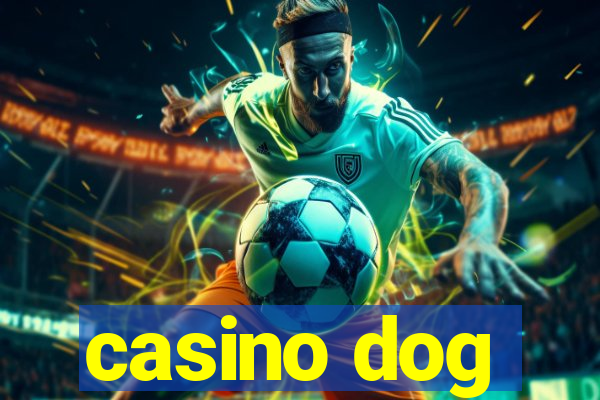 casino dog