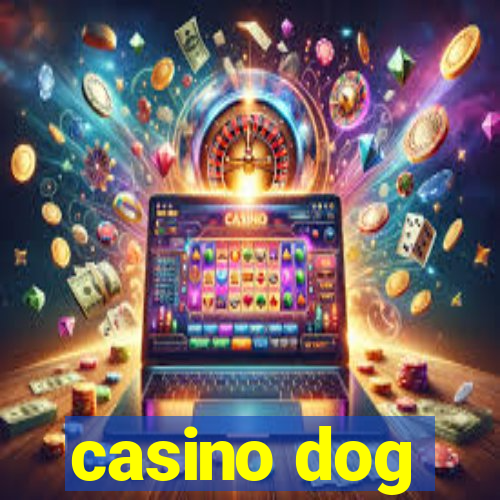 casino dog