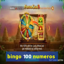 bingo 100 numeros