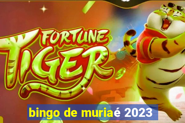 bingo de muriaé 2023