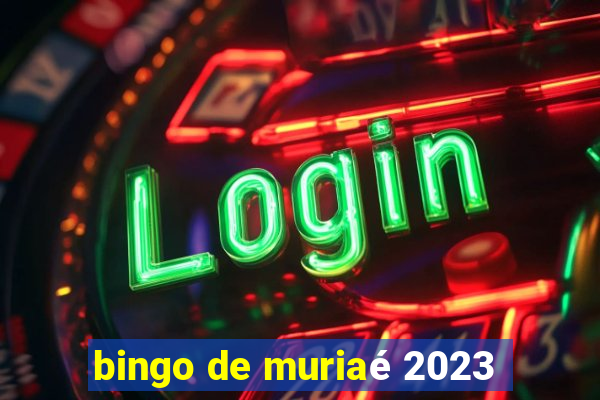 bingo de muriaé 2023