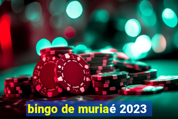 bingo de muriaé 2023