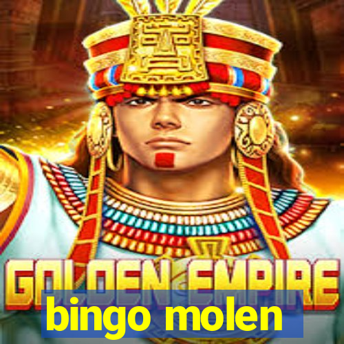 bingo molen