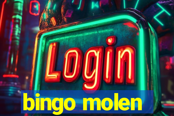 bingo molen