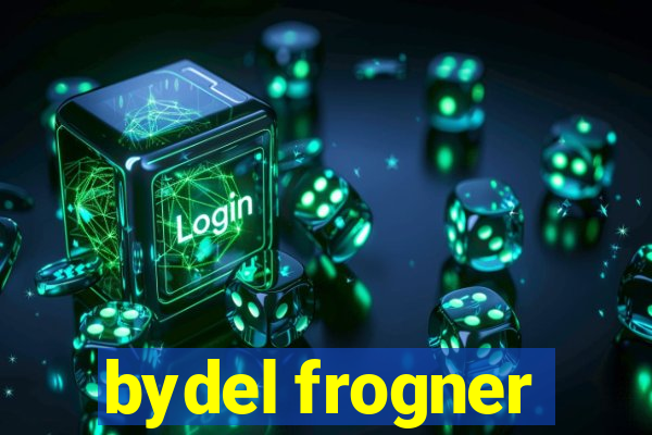 bydel frogner