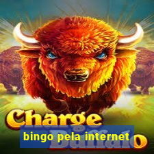 bingo pela internet