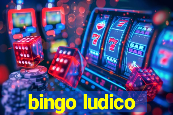 bingo ludico