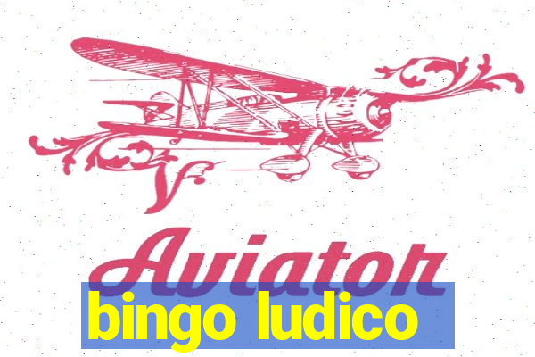 bingo ludico