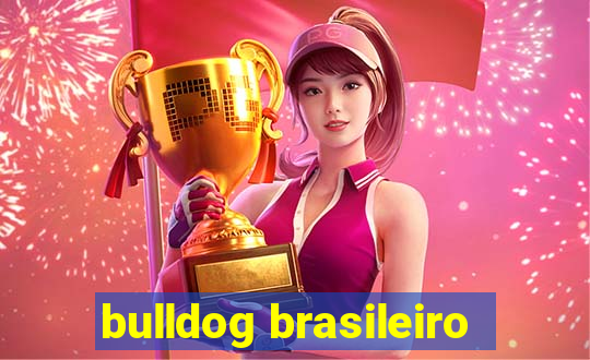 bulldog brasileiro