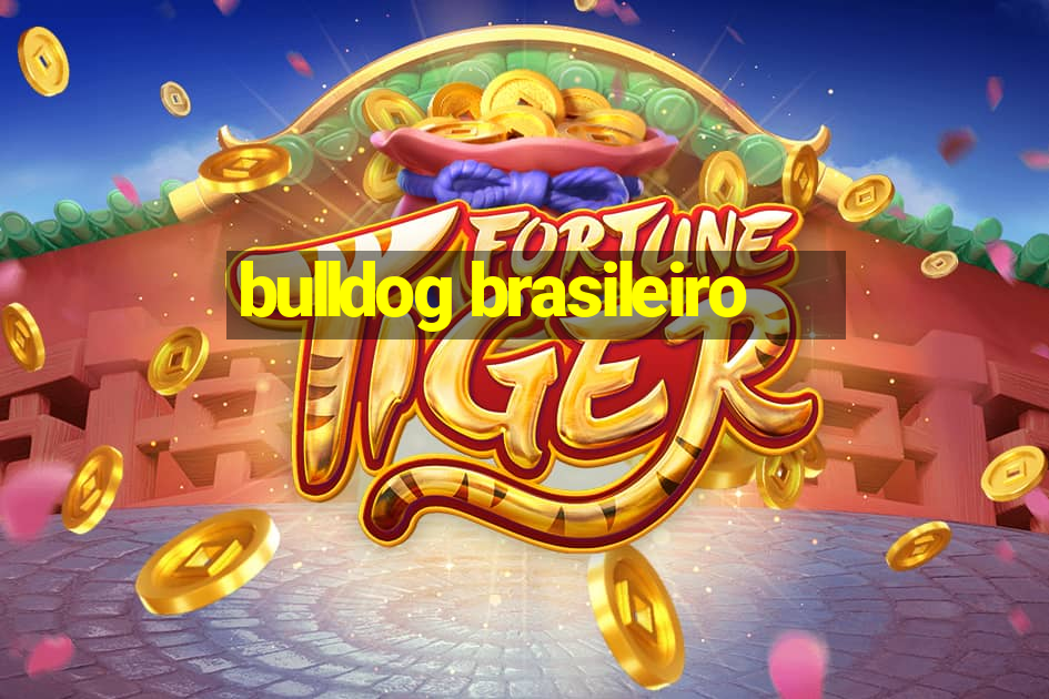 bulldog brasileiro