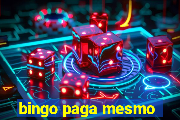 bingo paga mesmo