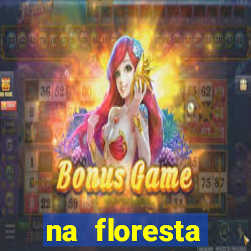 na floresta encantada meme