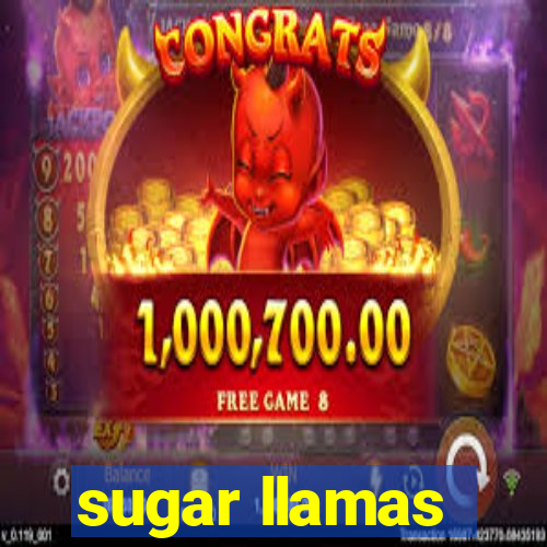 sugar llamas