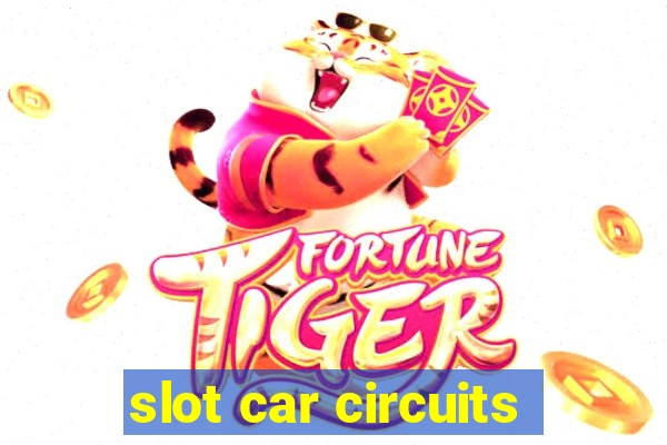 slot car circuits