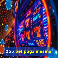 255 bet paga mesmo