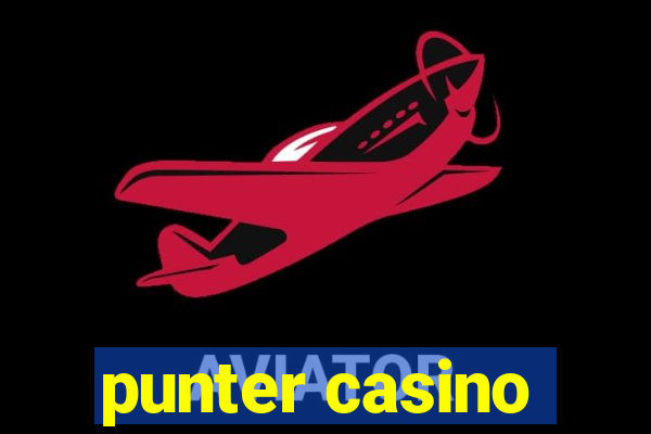 punter casino