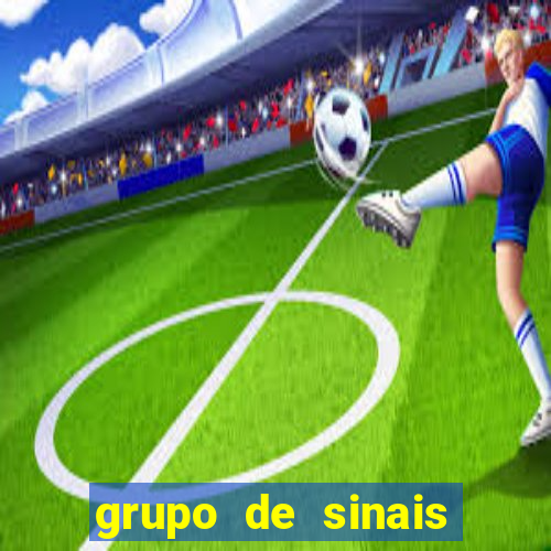 grupo de sinais fortune rabbit