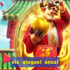 olx aluguel anual porto belo