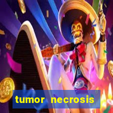 tumor necrosis factor beta