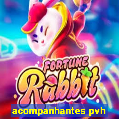 acompanhantes pvh