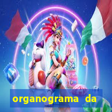 organograma da cacau show